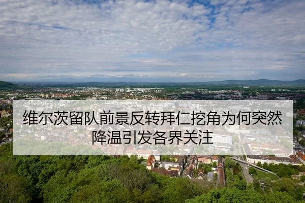 维尔茨留队前景反转拜仁挖角为何突然降温引发各界关注